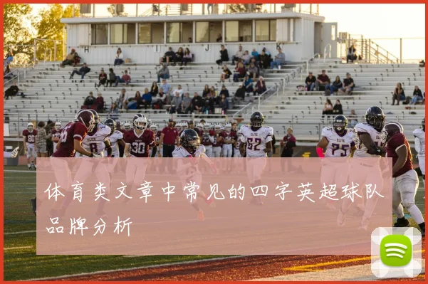 体育类文章中常见的四字英超球队品牌分析